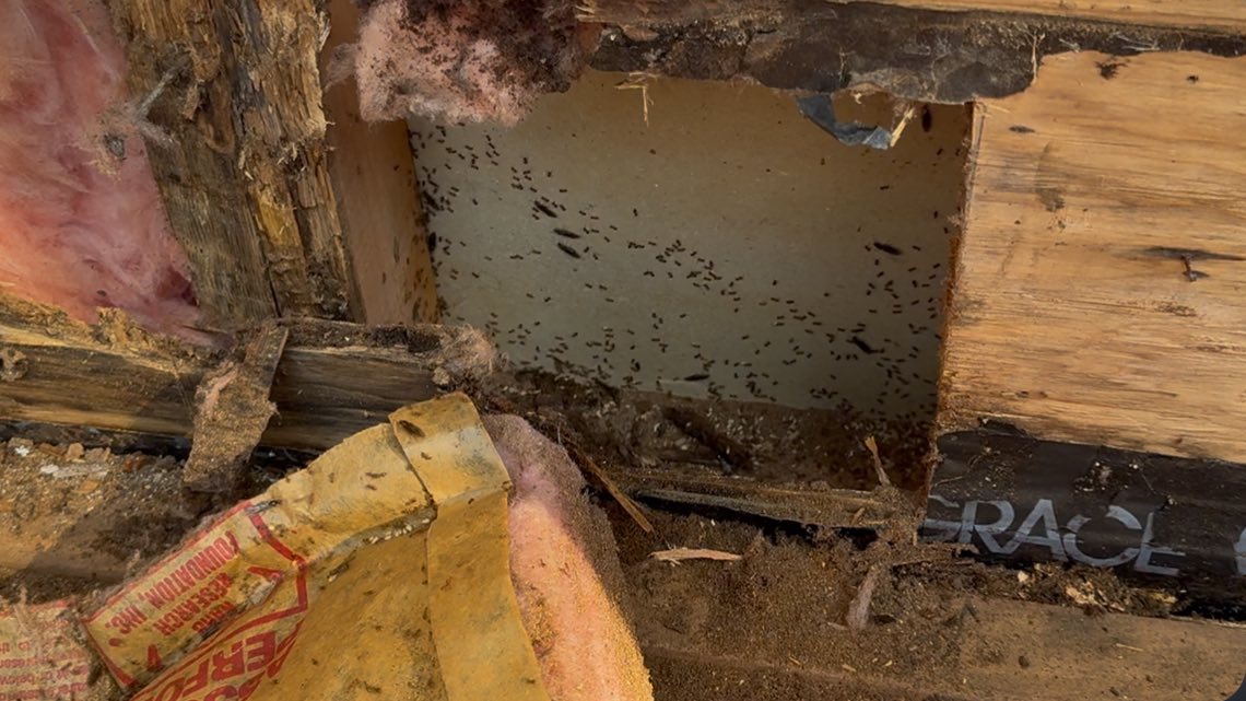 Home exterior repair