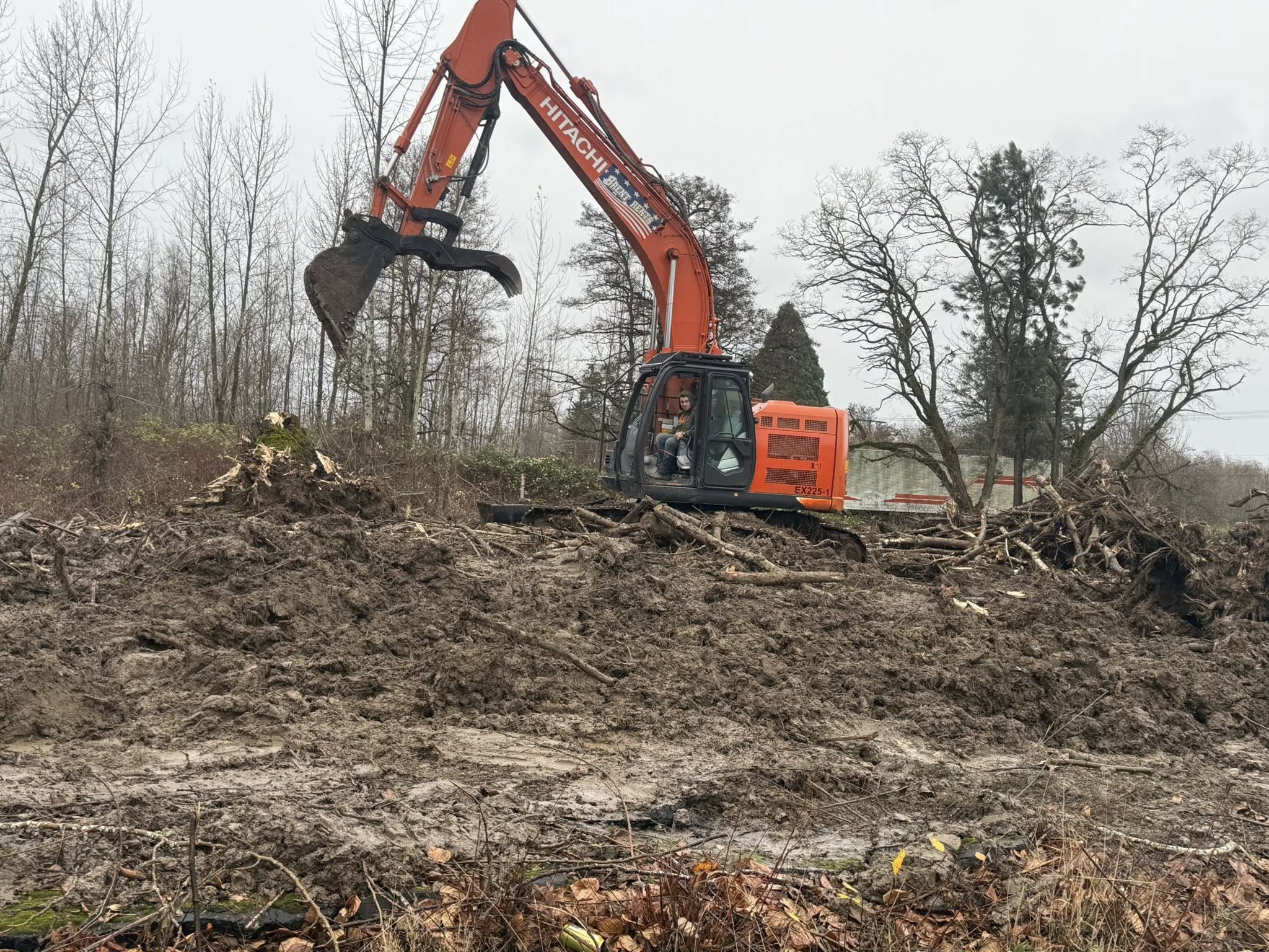 Land clearing Whatcom County