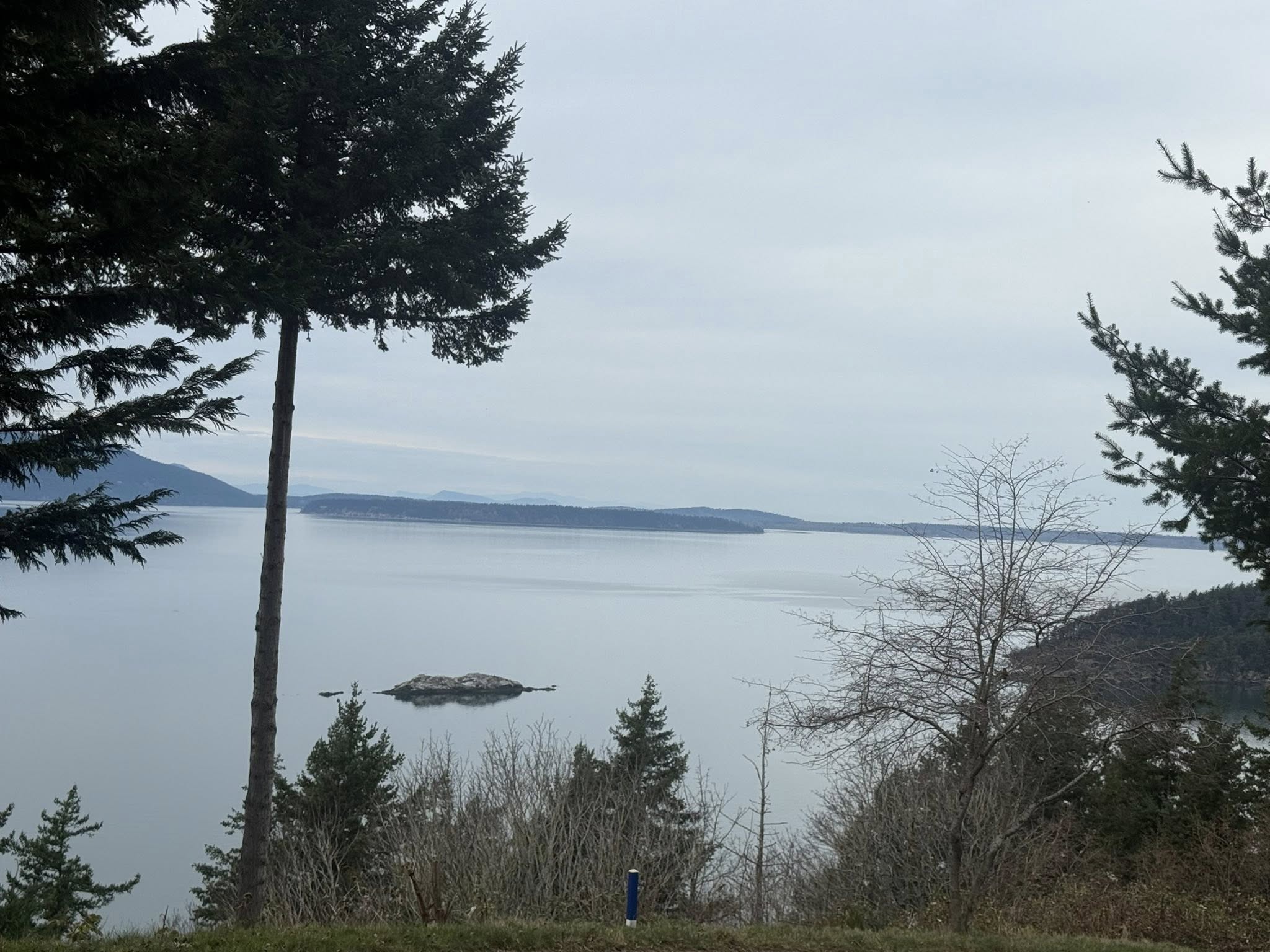 Beautiful Whatcom County job site